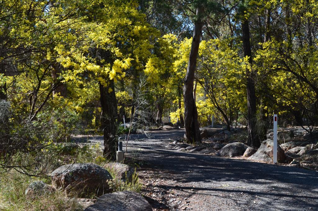 31 The Rocks Bed and Breakfast Stanthorpe Eksteriør billede