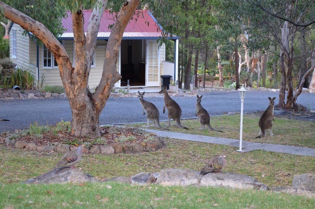 31 The Rocks Bed and Breakfast Stanthorpe Eksteriør billede